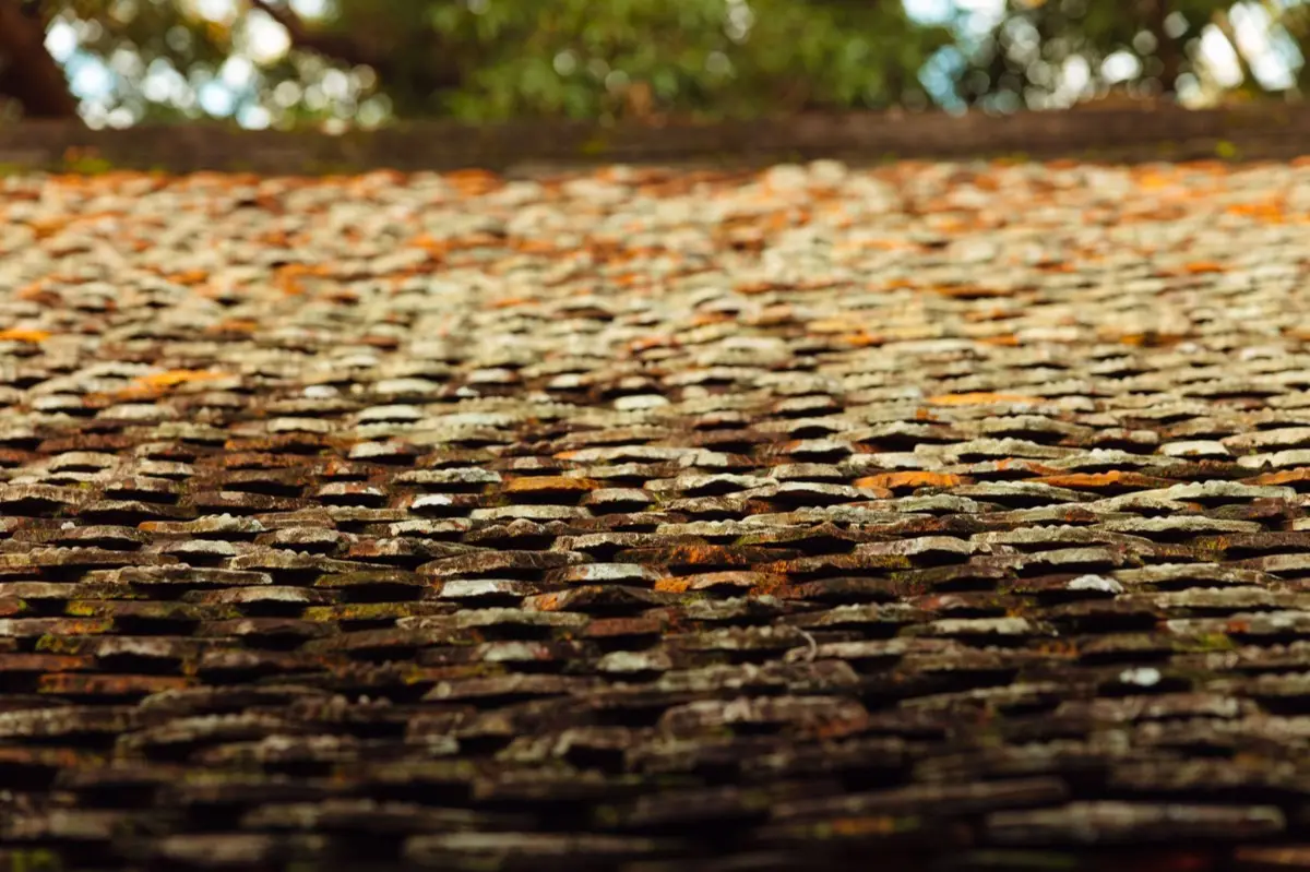 Aging shingle roof with moss growth and granule loss in Norwalk, CT